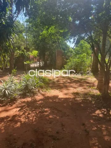 Luque – areguá: 8.000m2, nivelado, arbolado, p/ emprendimientos inmobiliarios–130.000 usd — foto 5