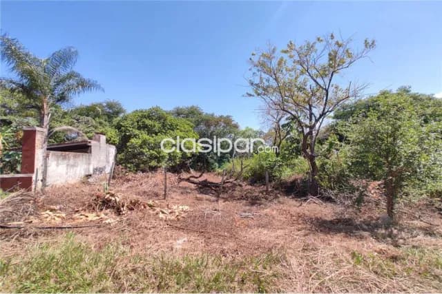 Terreno en Loma Merlo - Inmediaciones de Sugas — foto 3