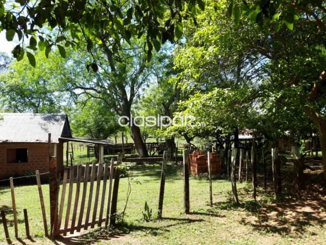 Campo Agrícola/Ganadero en General Artigas - 40 Ha, foto 2