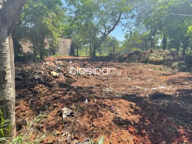 Dos terrenos juntos en San Lorenzo barrio san miguel cod 4401 — foto 3