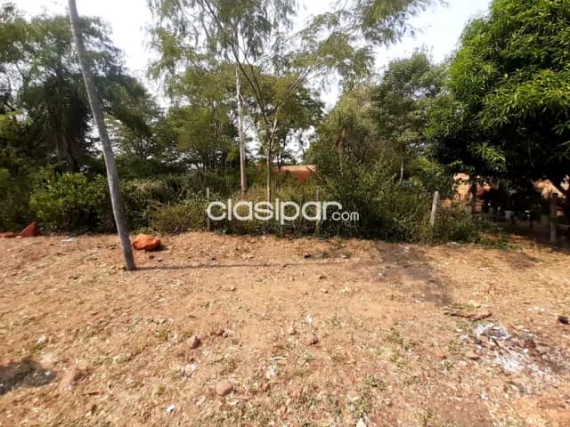 Terreno en limpio, foto 2