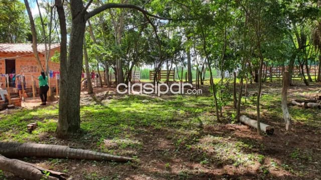 Remato!! Terreno en Paraguari, foto 4