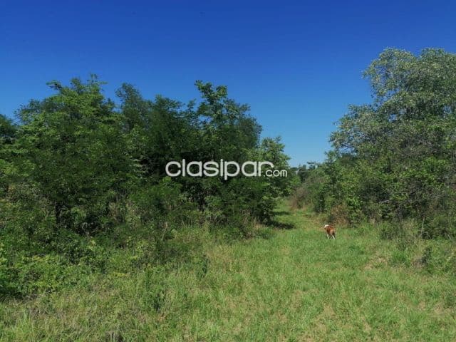 Terreno en San Bernardino sobre Ruta - 7 Ha