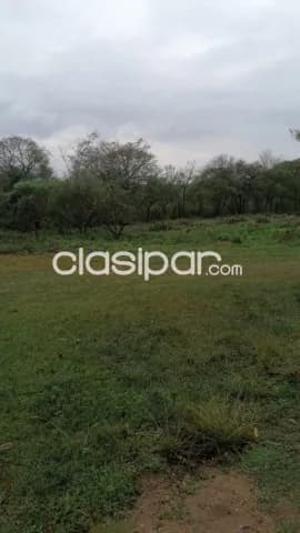 Terreno en San Bernardino sobre Ruta - 7 Ha, foto 3