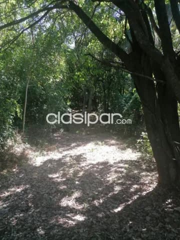 Terreno en San Bernardino sobre Ruta - 7 Ha, foto 4