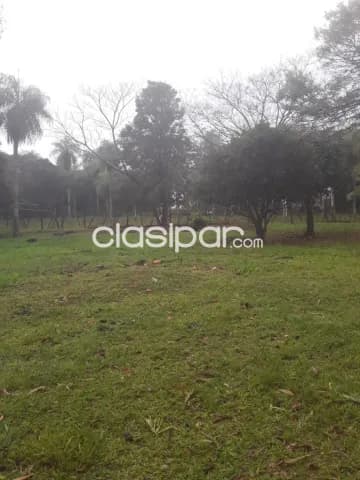 Terreno propiedad de 4 Ha. en ITA arbolado para quinta o granja. Oferta, por este mes, foto 2
