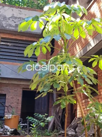 Casa de 3 pisos centro de asuncion 195,000 usd, foto 5