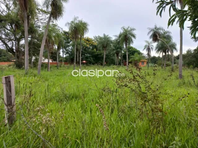 Gran oferta!! Hermoso terreno de 1200 m2 en j.a saldivar e/ capiata !!! — foto 2