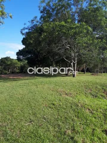 Hermoso terreno, foto 3