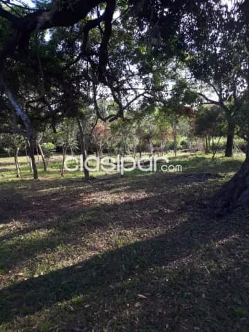 Hermoso terreno, foto 4