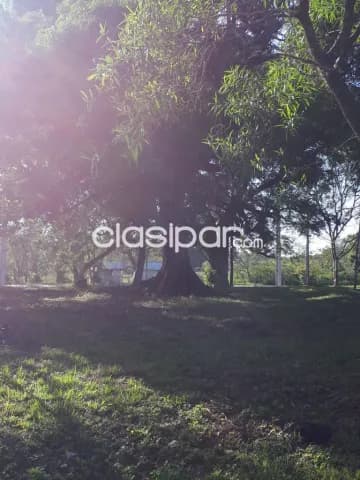 Hermoso terreno, foto 5