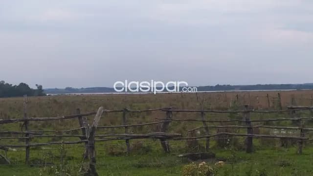 36 hectáreas. Más aprox. 20 ha. Exc. A 4 kilómetros de la Ruta VIII. Itapúa - Cnel.Bogado, foto 5