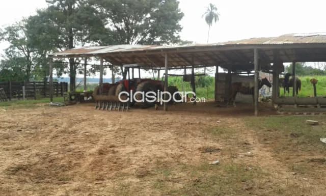 Coronel oviedo - excelente inmueble rural!! — foto 2