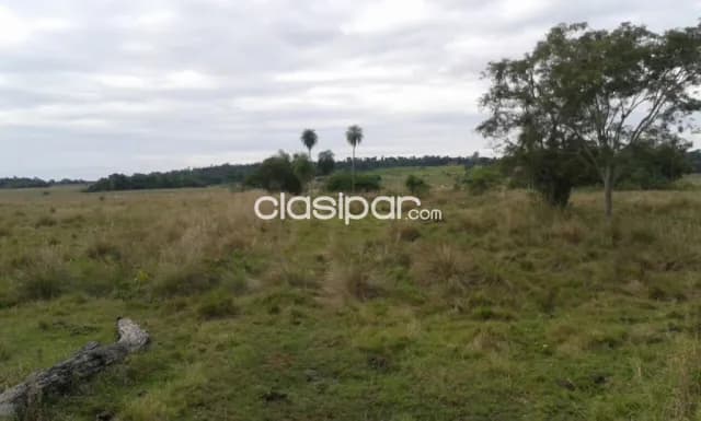 Coronel oviedo - excelente inmueble rural!! — foto 3
