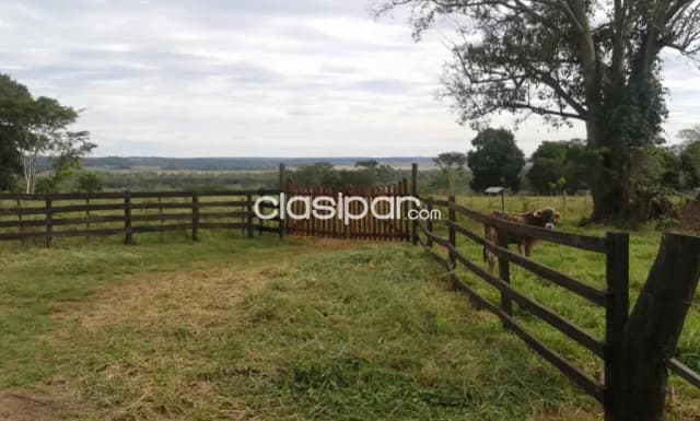 Coronel oviedo - excelente inmueble rural!! — foto 4