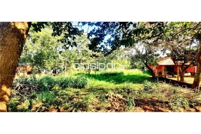 terreno de 520 m2 en Hohenau, a pasos del centro de Obligado y Hohenau — foto 3