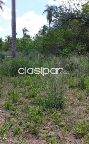 Oferta de 1 ha.en Nueva Colombia, foto 4