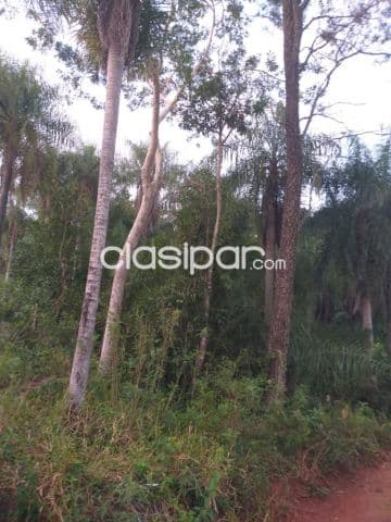 4 Hectareas 1/2 en Atyra camino Altos