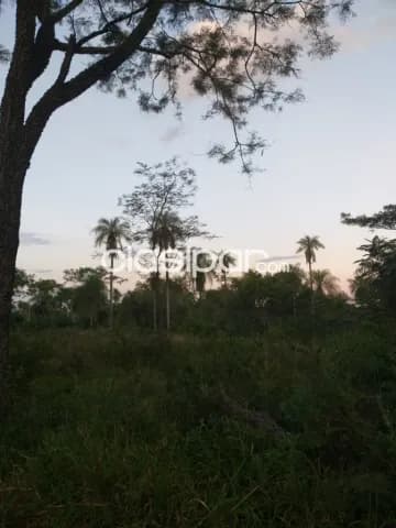 4 Hectareas 1/2 en Atyra camino Altos, foto 3