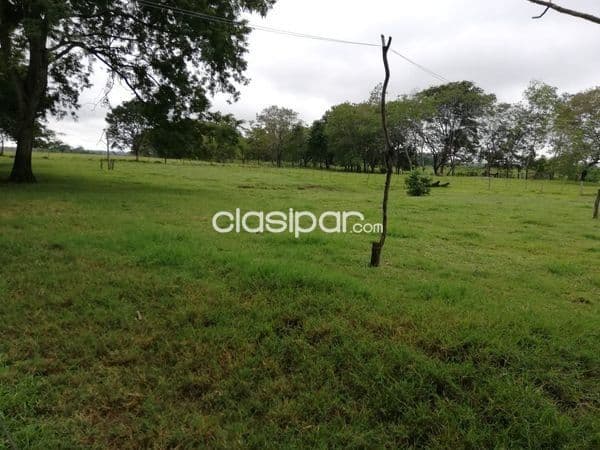 Propiedad en la ciudad de itacurubi del rosario cod 4584 — foto 1