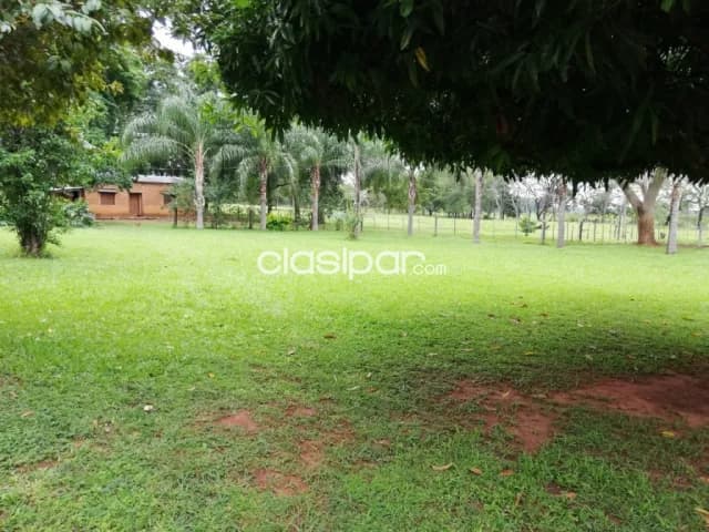 Propiedad en la ciudad de itacurubi del rosario cod 4584 — foto 5