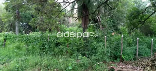 terreno en salado Limpio. E2458, foto 4