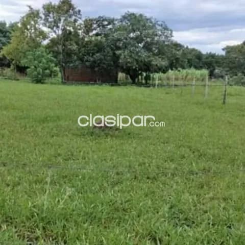 4 terrenos juntos en Piribebuy — foto 3