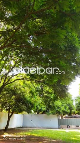 Terreno en San Lorenzo - Barrio San Isidro — foto 4