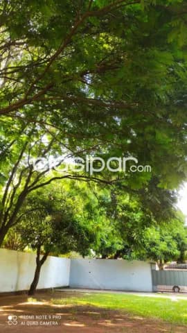 Terreno en San Lorenzo - Barrio San Isidro — foto 5
