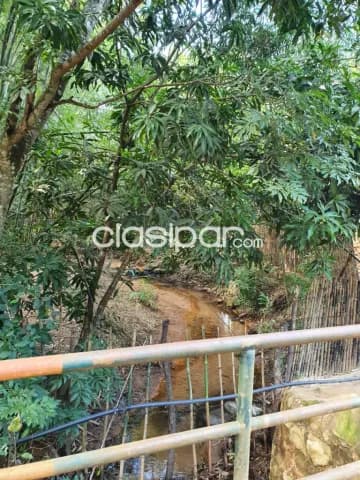 CAACUPÉ Atención inversionistas - VENDO 12 LOTES = 7.200 m2 - CERRO REAL — foto 3