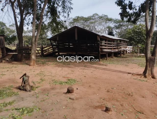 Granja de 26 htas... Zona santani, foto 3