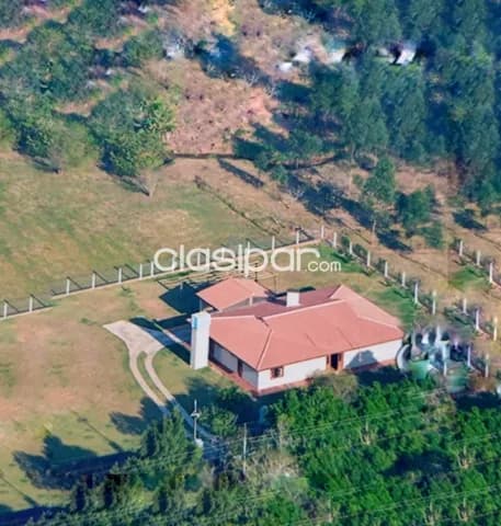 Quinta de 48 has. en Caacupé s/ ruta — foto 2