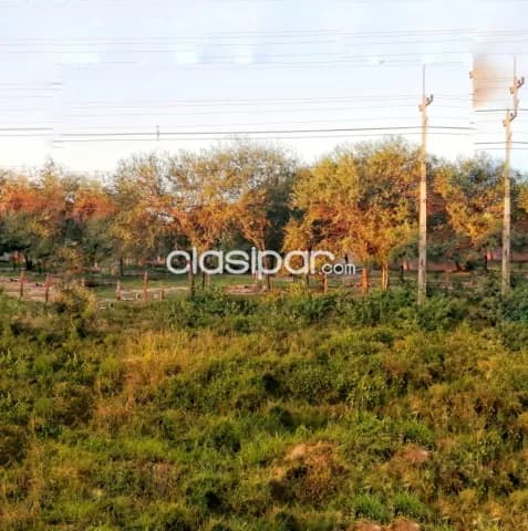 Terreno de 5 m2. S/ ruta transchaco — foto 3
