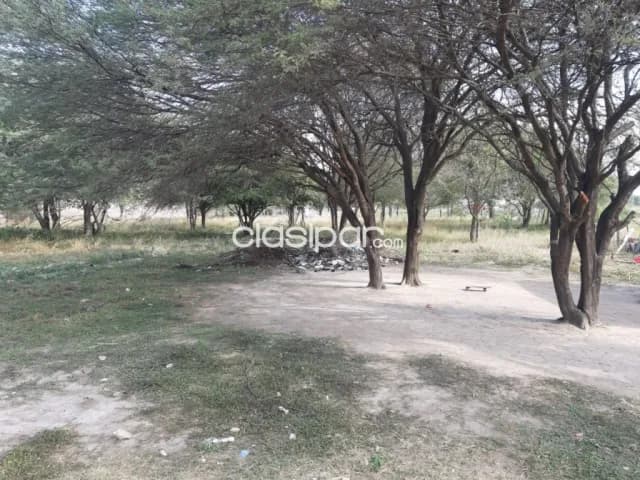 Terreno de 5 m2. S/ ruta transchaco — foto 5
