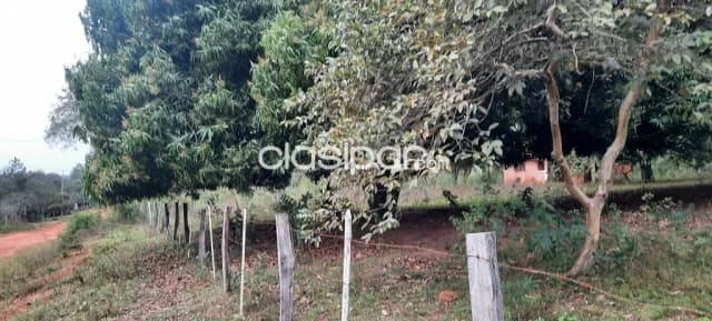 Terreno de 2.75 ha.entre Nueca Colombia y Altos — foto 2