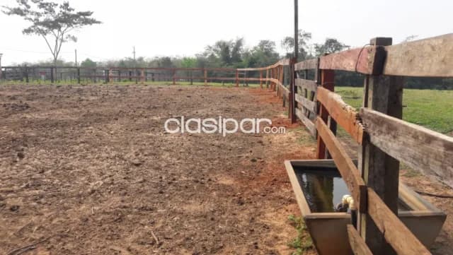 granja 40 has,Itacurubi del Rosario, buena infraestructura, foto 5