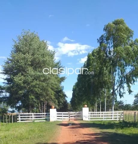 Estancia de 460 has yaguaron-paraguari — foto 3