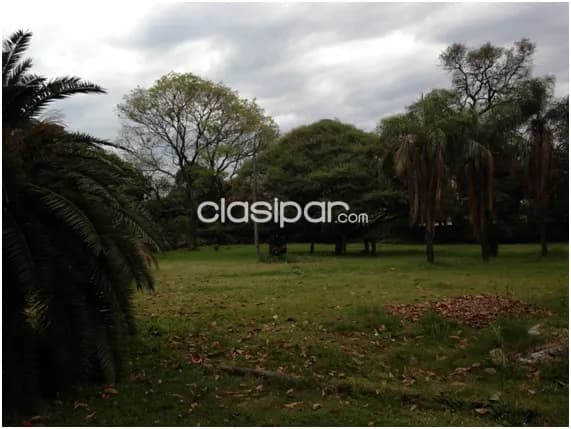 Los laureles:11.000 m2, p/ barrios privados – 490usd/m2, foto 4