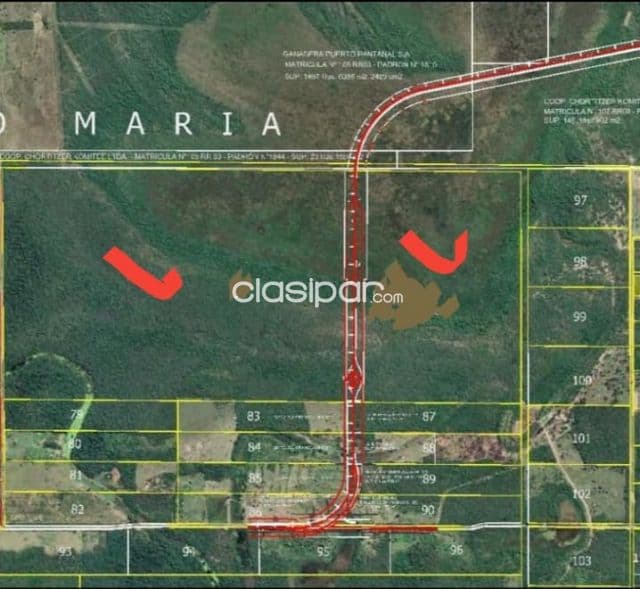 Carmelo peralta: 240 has, z/ puente – 150.000.000 / ha