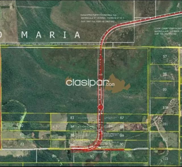 Carmelo peralta: 240 has, z/ puente – 150.000.000 / ha, foto 3