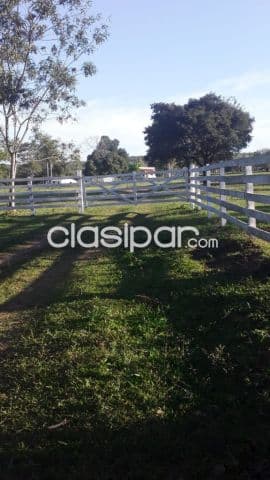 Granja formada de 53 has en Valenzuela — foto 1