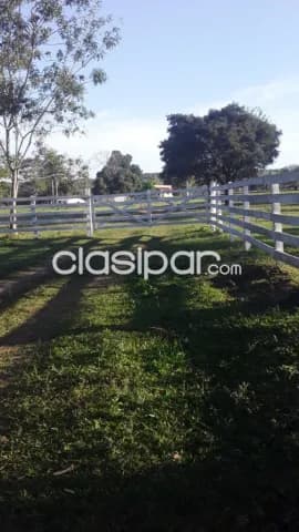 Granja formada de 53 has en Valenzuela — foto 2