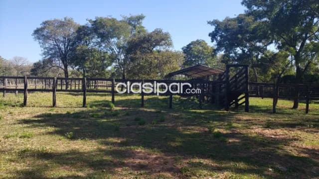 Granja formada de 53 has en Valenzuela — foto 3