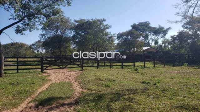 Granja formada de 53 has en Valenzuela — foto 4