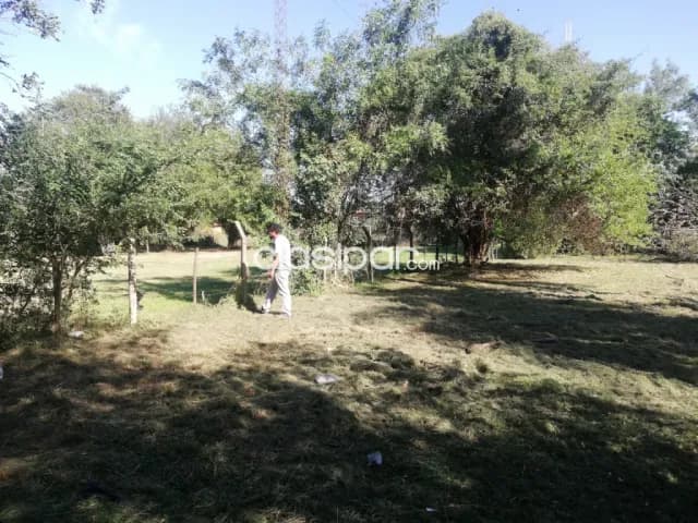 Terreno a 100 mts. Del puerto de villeta, foto 4