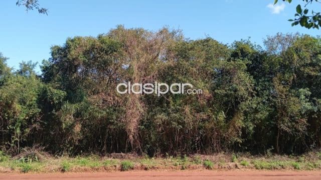 Hermosa propiedad de 5 ha titulada en km9 lado monday c.d.e, foto 1