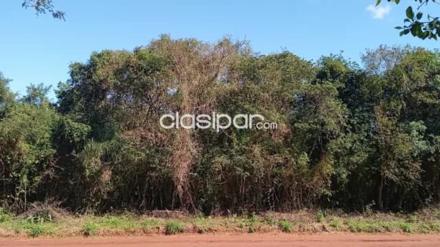 Hermosa propiedad de 5 ha titulada en km9 lado monday c.d.e, foto 2