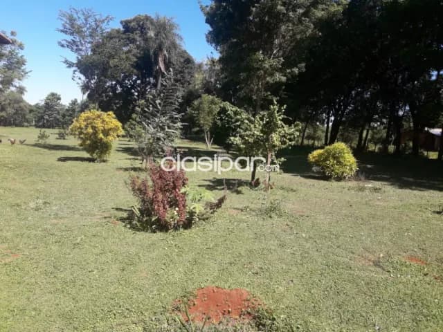 Granja de 8.5 has en yaguaron, foto 3