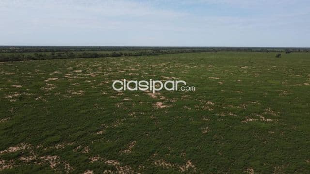 Tte pico - boqueron: 6.000 has en venta c/ pastura, conex mcal estigarribia, lagerenza