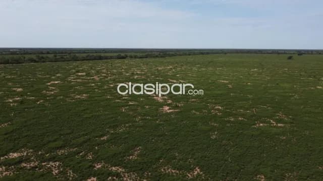 Tte pico - boqueron: 6.000 has en venta c/ pastura, conex mcal estigarribia, lagerenza, foto 2